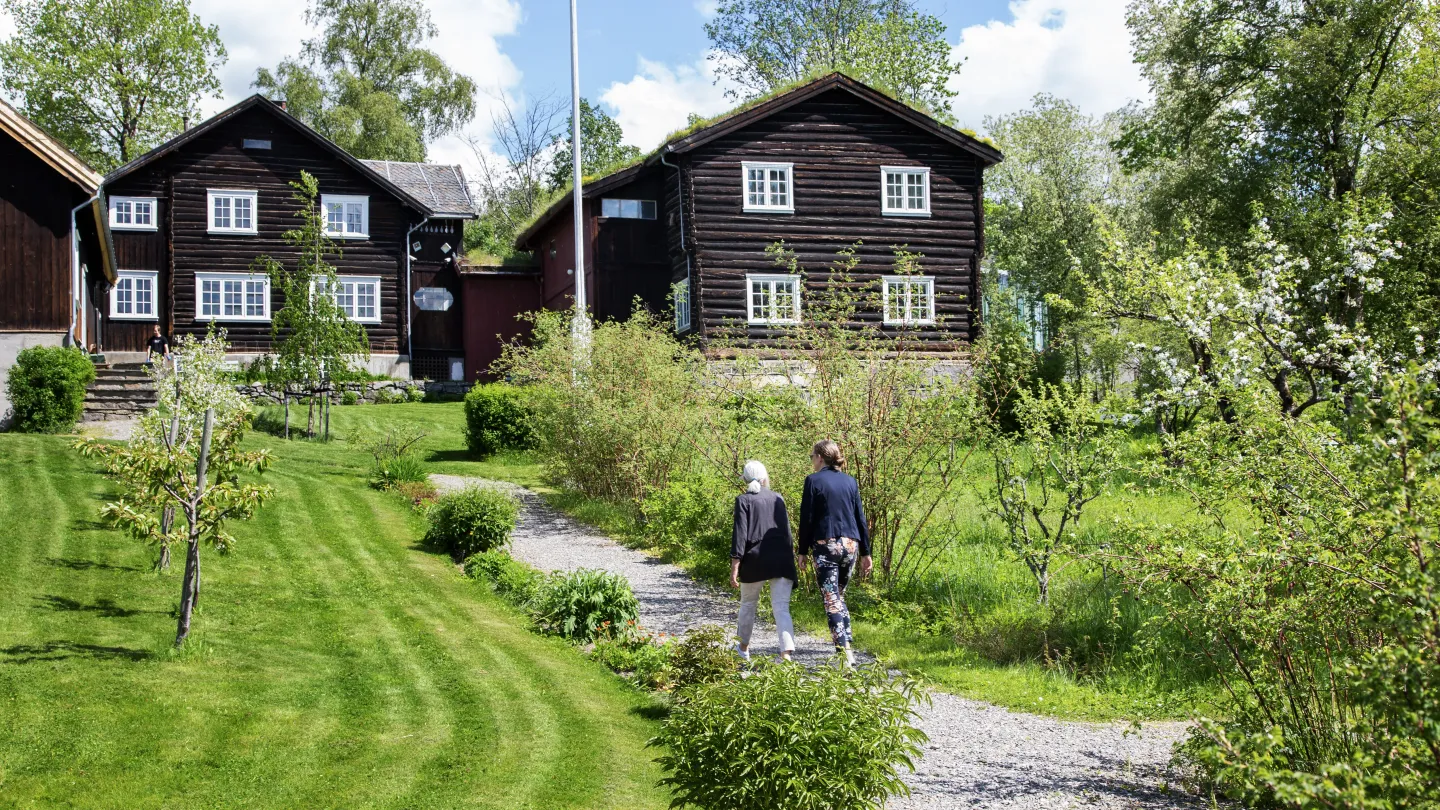 Bjerkebæk
