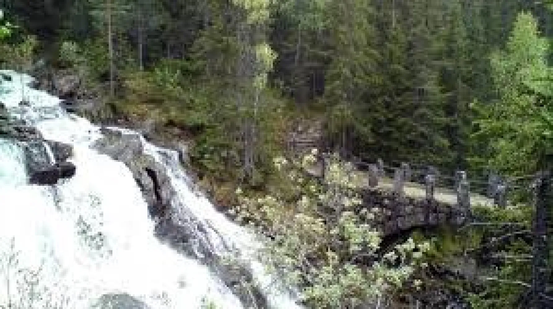 Mesnaelva
