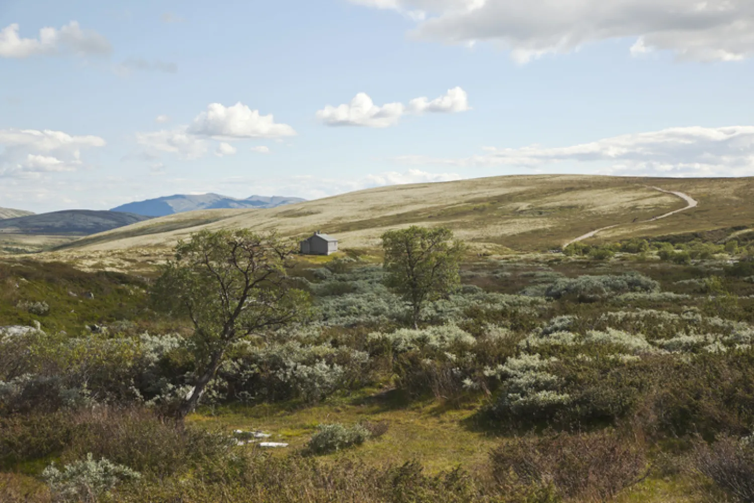Rondane