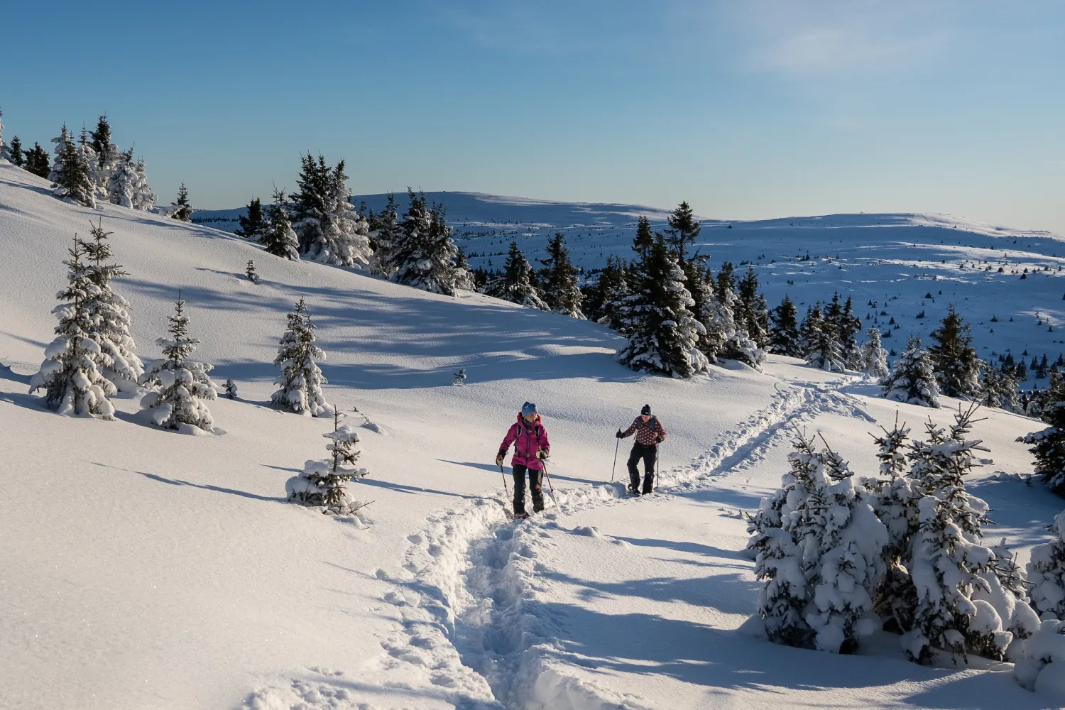 Folk som går på et snødekt fjell